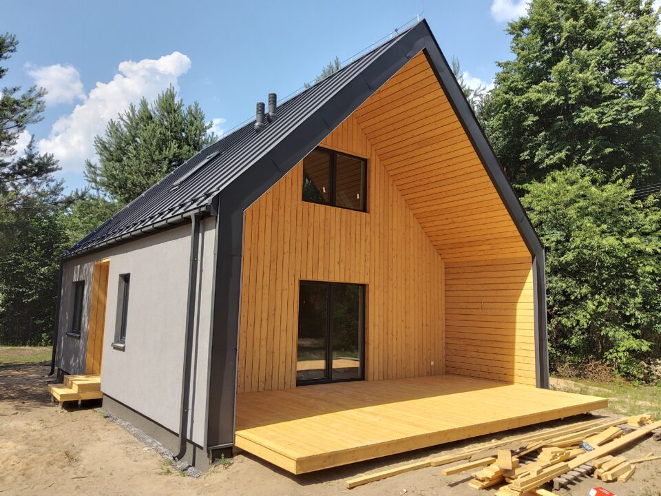 Szkieletowy dom Simple House