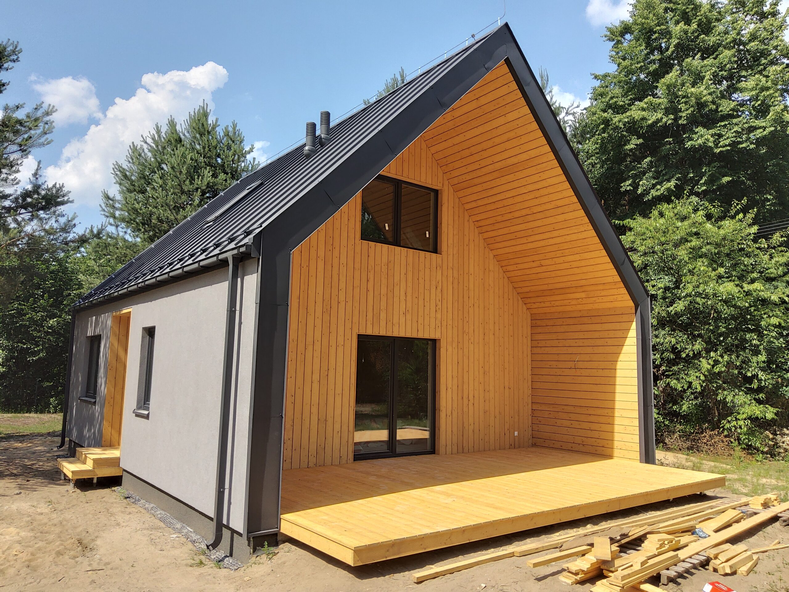 Szkieletowy dom Simple House